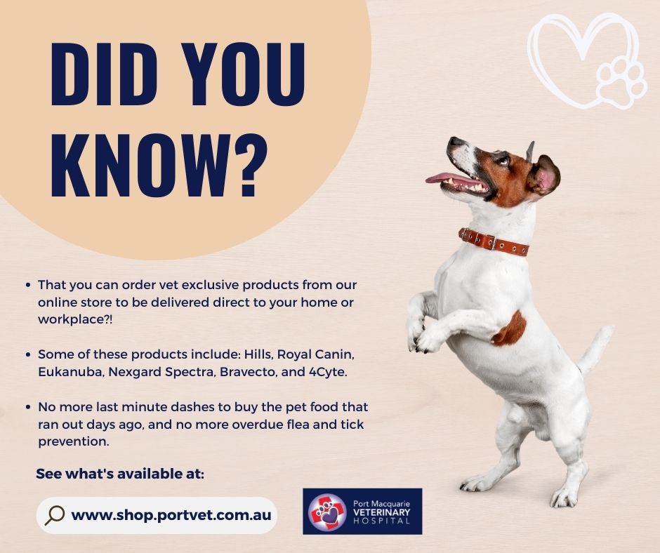 Port Macquarie Veterinary Hospital